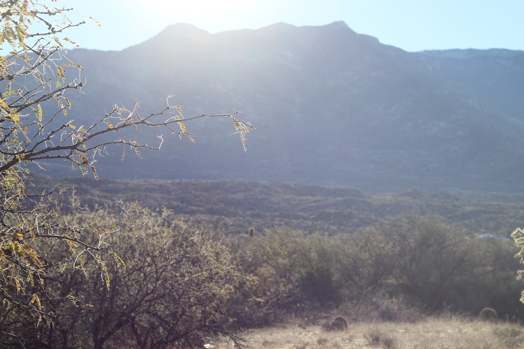 Miraval Views